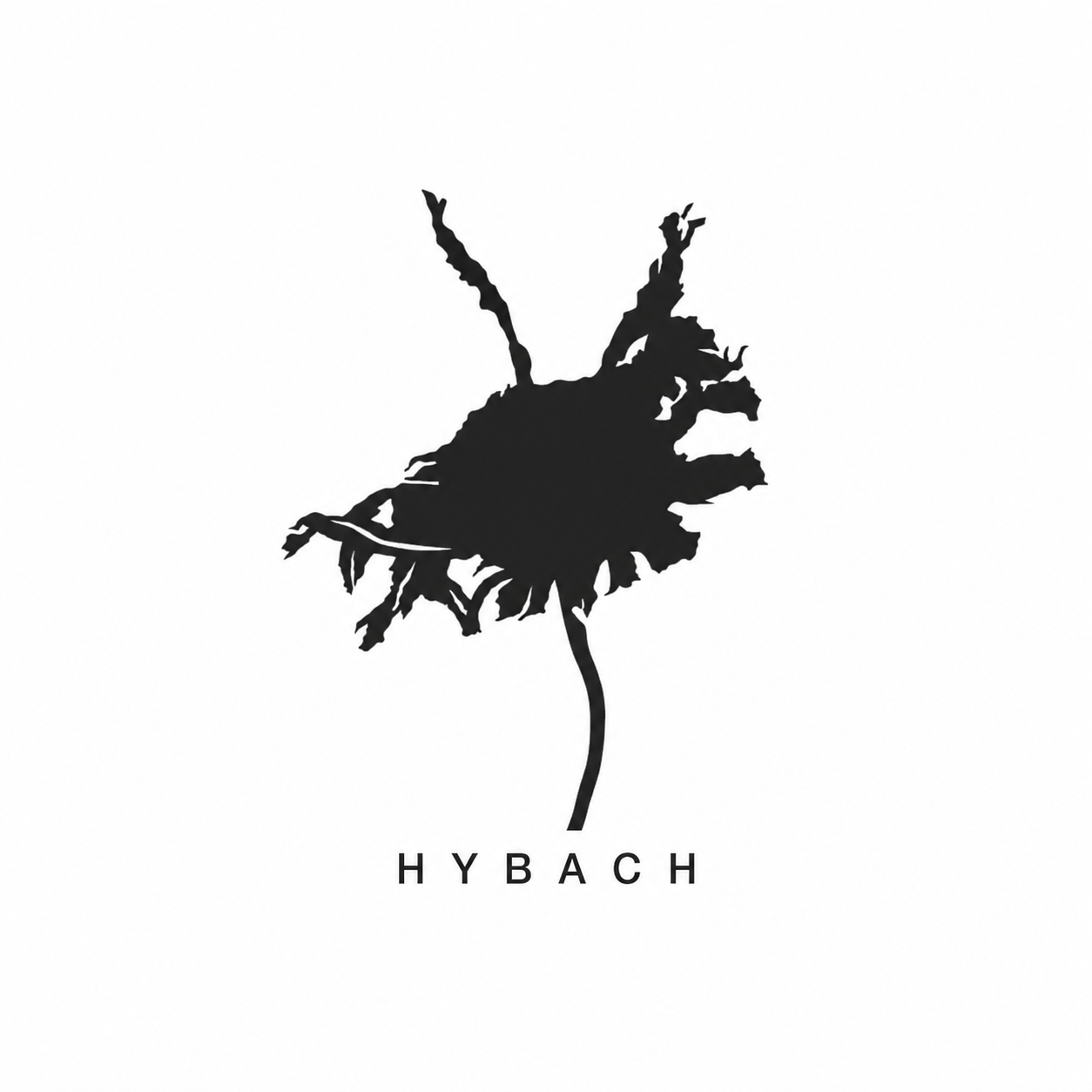 HYBACH logo